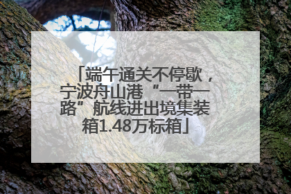 端午通关不停歇，宁波舟山港“一带一路”航线进出境集装箱1.48万标箱