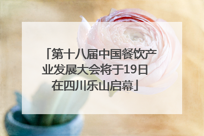 第十八届中国餐饮产业发展大会将于19日在四川乐山启幕