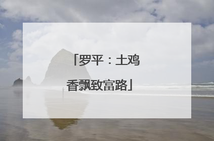 罗平：土鸡香飘致富路