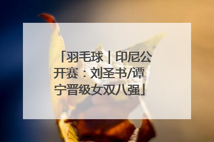 羽毛球｜印尼公开赛：刘圣书/谭宁晋级女双八强