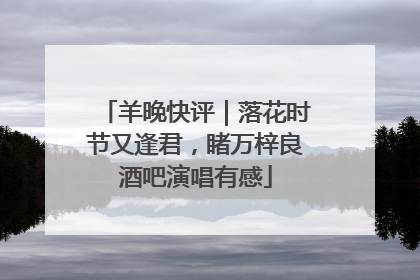 羊晚快评｜落花时节又逢君，睹万梓良酒吧演唱有感