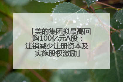 美的集团拟最高回购100亿元A股：注销减少注册资本及实施股权激励