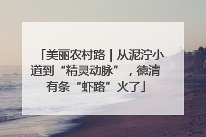 美丽农村路｜从泥泞小道到“精灵动脉”，德清有条“虾路”火了