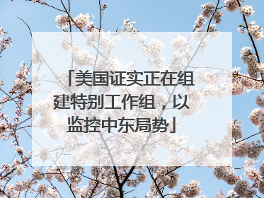 美国证实正在组建特别工作组，以监控中东局势
