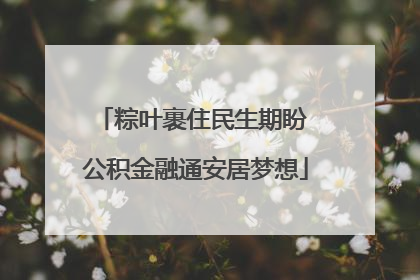 粽叶裹住民生期盼 公积金融通安居梦想