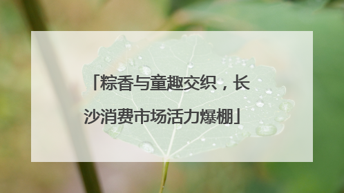 粽香与童趣交织，长沙消费市场活力爆棚