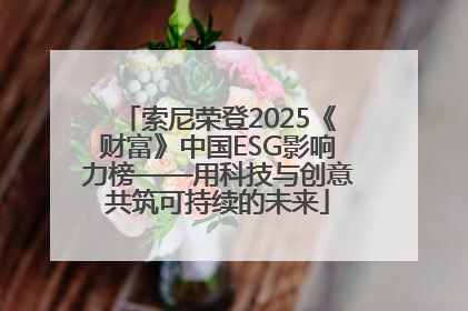 索尼荣登2025《财富》中国ESG影响力榜——用科技与创意共筑可持续的未来
