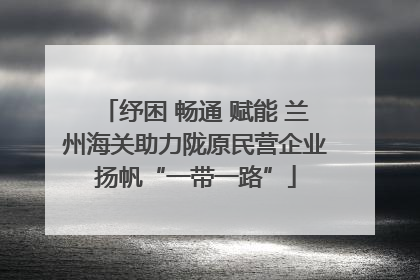 纾困 畅通 赋能 兰州海关助力陇原民营企业扬帆“一带一路”