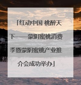 红动中国 桃醉天下——蒙阴蜜桃消费季暨蒙阴蜜桃产业推介会成功举办