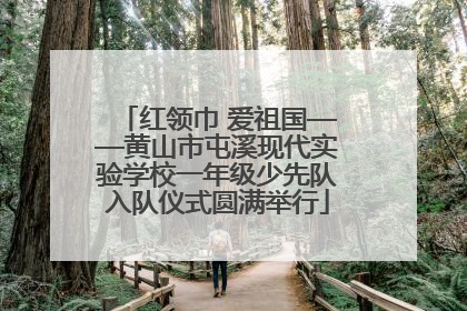 红领巾 爱祖国——黄山市屯溪现代实验学校一年级少先队入队仪式圆满举行