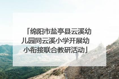 绵阳市盐亭县云溪幼儿园同云溪小学开展幼小衔接联合教研活动