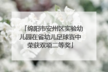绵阳市安州区实验幼儿园在省幼儿足球赛中荣获双项二等奖