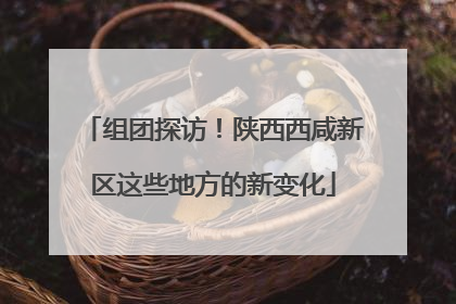 组团探访！陕西西咸新区这些地方的新变化