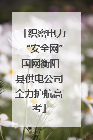 织密电力“安全网” 国网衡阳县供电公司全力护航高考