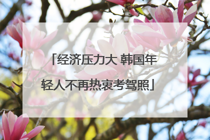 经济压力大 韩国年轻人不再热衷考驾照