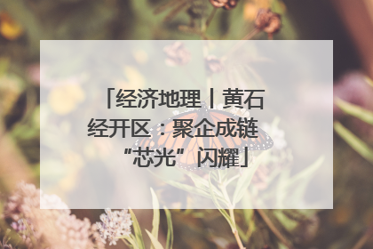 经济地理丨黄石经开区：聚企成链“芯光”闪耀