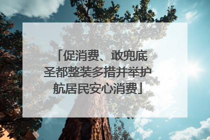 促消费、敢兜底 圣都整装多措并举护航居民安心消费