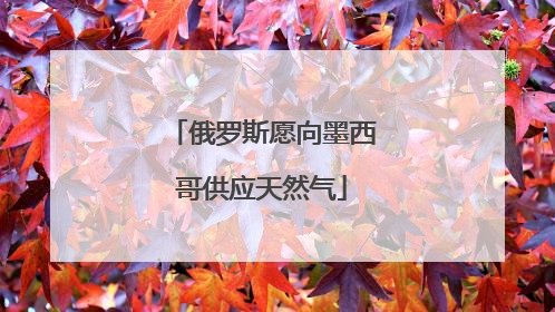 俄罗斯愿向墨西哥供应天然气
