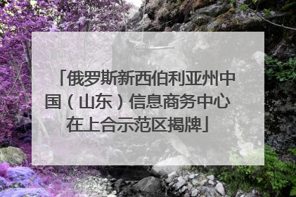 俄罗斯新西伯利亚州中国（山东）信息商务中心在上合示范区揭牌