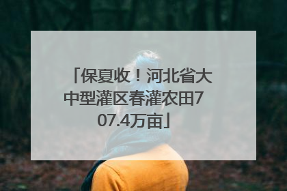 保夏收！河北省大中型灌区春灌农田707.4万亩