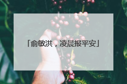 俞敏洪，凌晨报平安