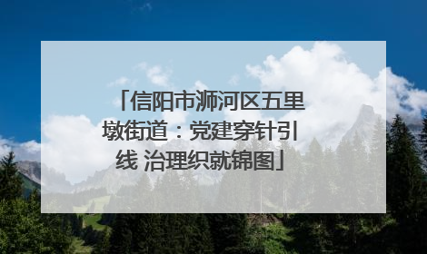 信阳市浉河区五里墩街道：党建穿针引线 治理织就锦图