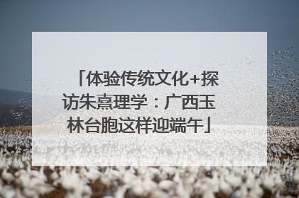 体验传统文化+探访朱熹理学：广西玉林台胞这样迎端午