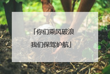 你们乘风破浪 我们保驾护航