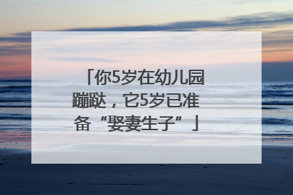你5岁在幼儿园蹦跶，它5岁已准备“娶妻生子”
