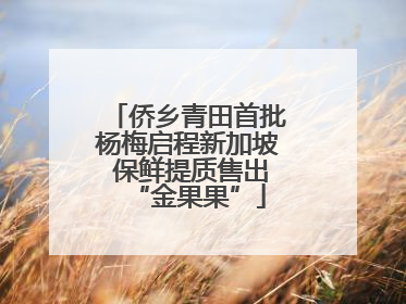 侨乡青田首批杨梅启程新加坡 保鲜提质售出“金果果”