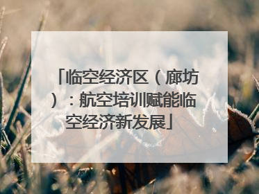 临空经济区（廊坊）：航空培训赋能临空经济新发展