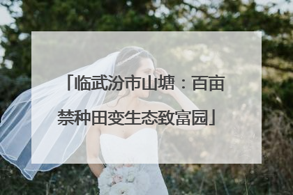临武汾市山塘：百亩禁种田变生态致富园