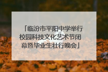 临汾市平阳中学举行校园科技文化艺术节闭幕暨毕业生壮行晚会