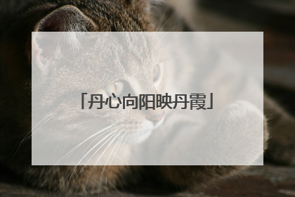 丹心向阳映丹霞