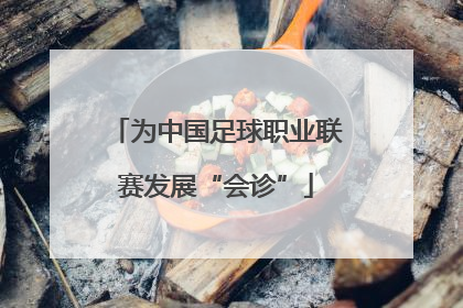 为中国足球职业联赛发展“会诊”