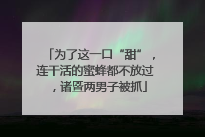 为了这一口“甜”，连干活的蜜蜂都不放过，诸暨两男子被抓