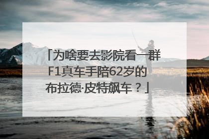 为啥要去影院看一群F1真车手陪62岁的布拉德·皮特飙车？