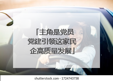 主角是党员 党建引领这家民企高质量发展