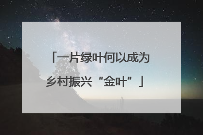 一片绿叶何以成为乡村振兴“金叶”