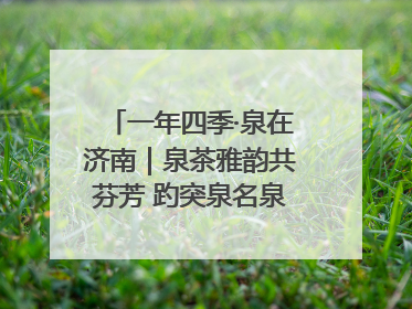 一年四季·泉在济南｜泉茶雅韵共芬芳 趵突泉名泉茗茶品鉴会举行