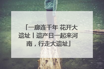 一廊连千年 花开大遗址丨遗产日一起来河南，行走大遗址