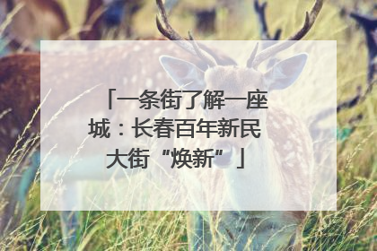 一条街了解一座城：长春百年新民大街“焕新”