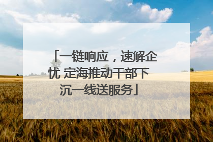 一链响应，速解企忧 定海推动干部下沉一线送服务
