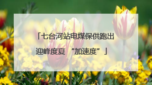 七台河站电煤保供跑出迎峰度夏 “加速度”