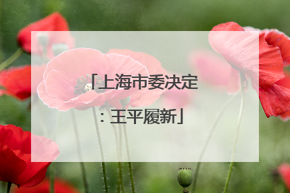 上海市委决定：王平履新