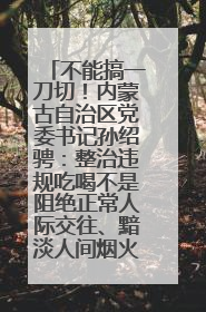 不能搞一刀切！内蒙古自治区党委书记孙绍骋：整治违规吃喝不是阻绝正常人际交往、黯淡人间烟火