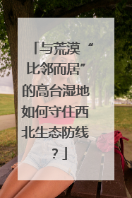 与荒漠“比邻而居”的高台湿地如何守住西北生态防线？