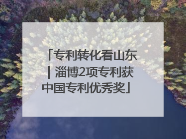 专利转化看山东｜淄博2项专利获中国专利优秀奖