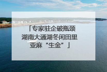 专家驻企破瓶颈 湖南大通湖冬闲田里亚麻“生金”