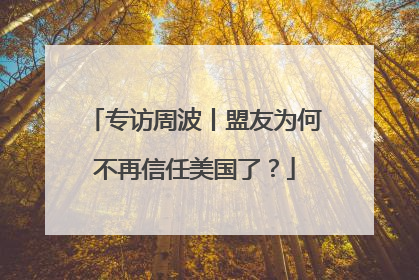 专访周波丨盟友为何不再信任美国了？